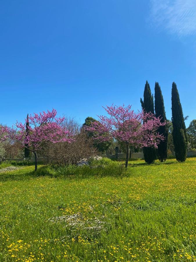Agriturismo Colle Igino Матера Экстерьер фото