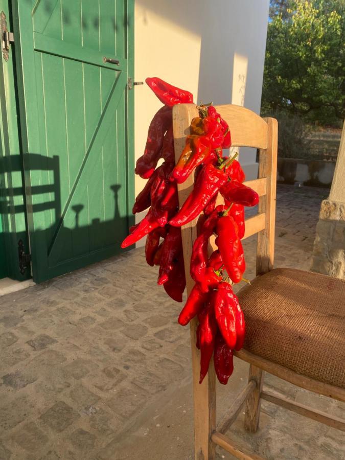 Agriturismo Colle Igino Матера Экстерьер фото