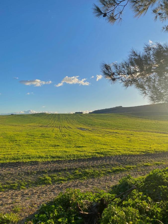 Agriturismo Colle Igino Матера Экстерьер фото