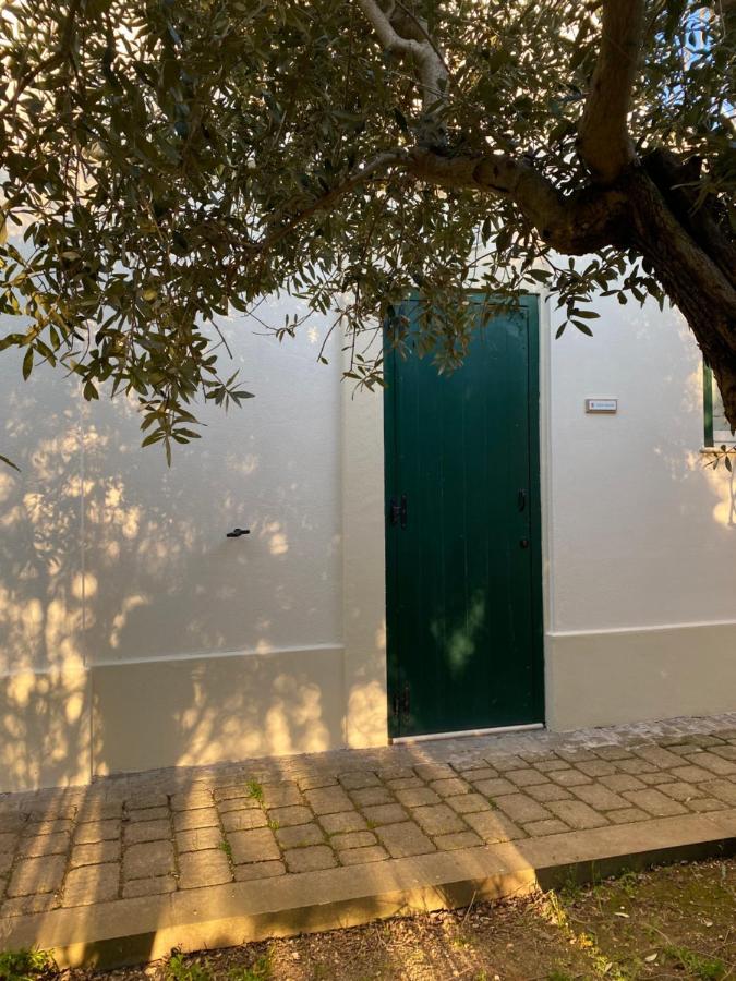 Agriturismo Colle Igino Матера Экстерьер фото