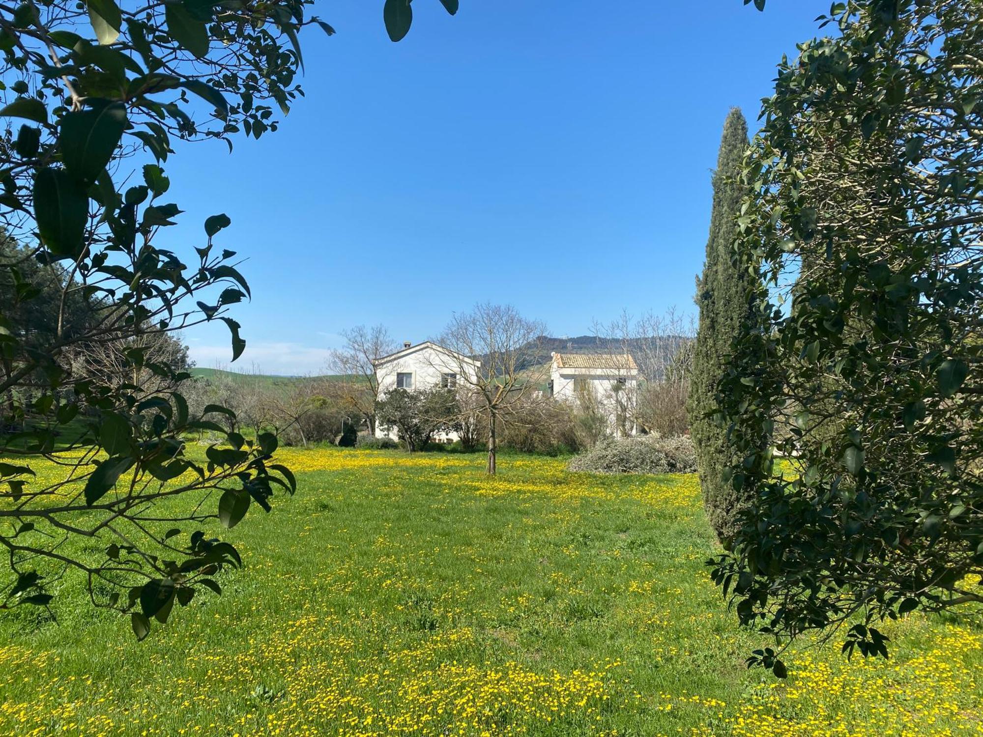 Agriturismo Colle Igino Матера Экстерьер фото