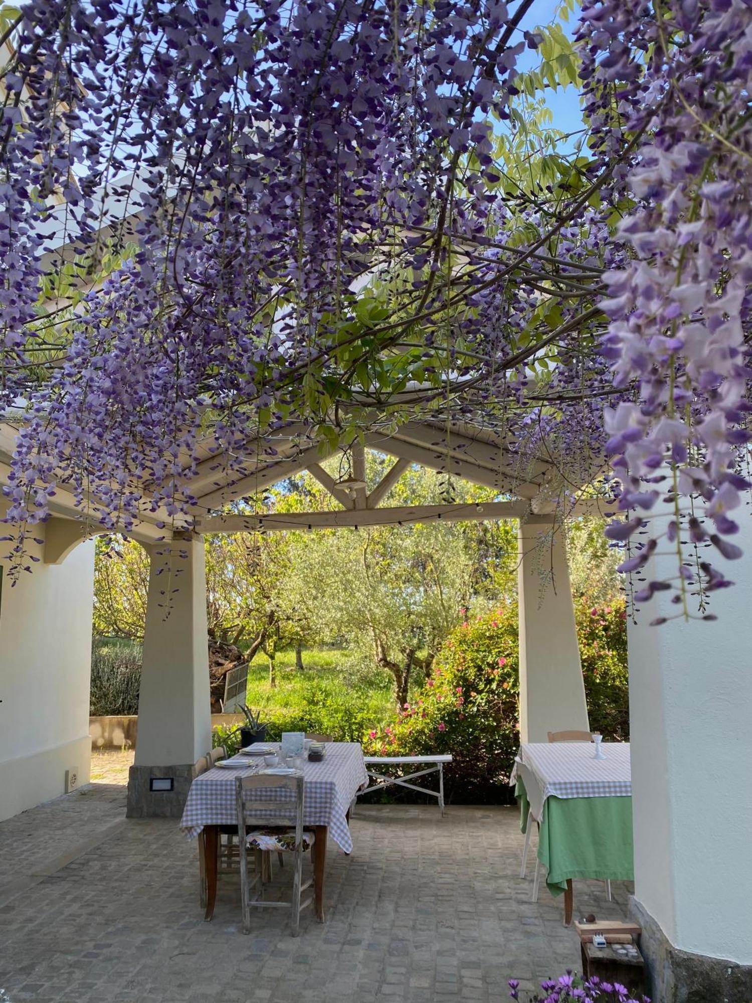 Agriturismo Colle Igino Матера Экстерьер фото