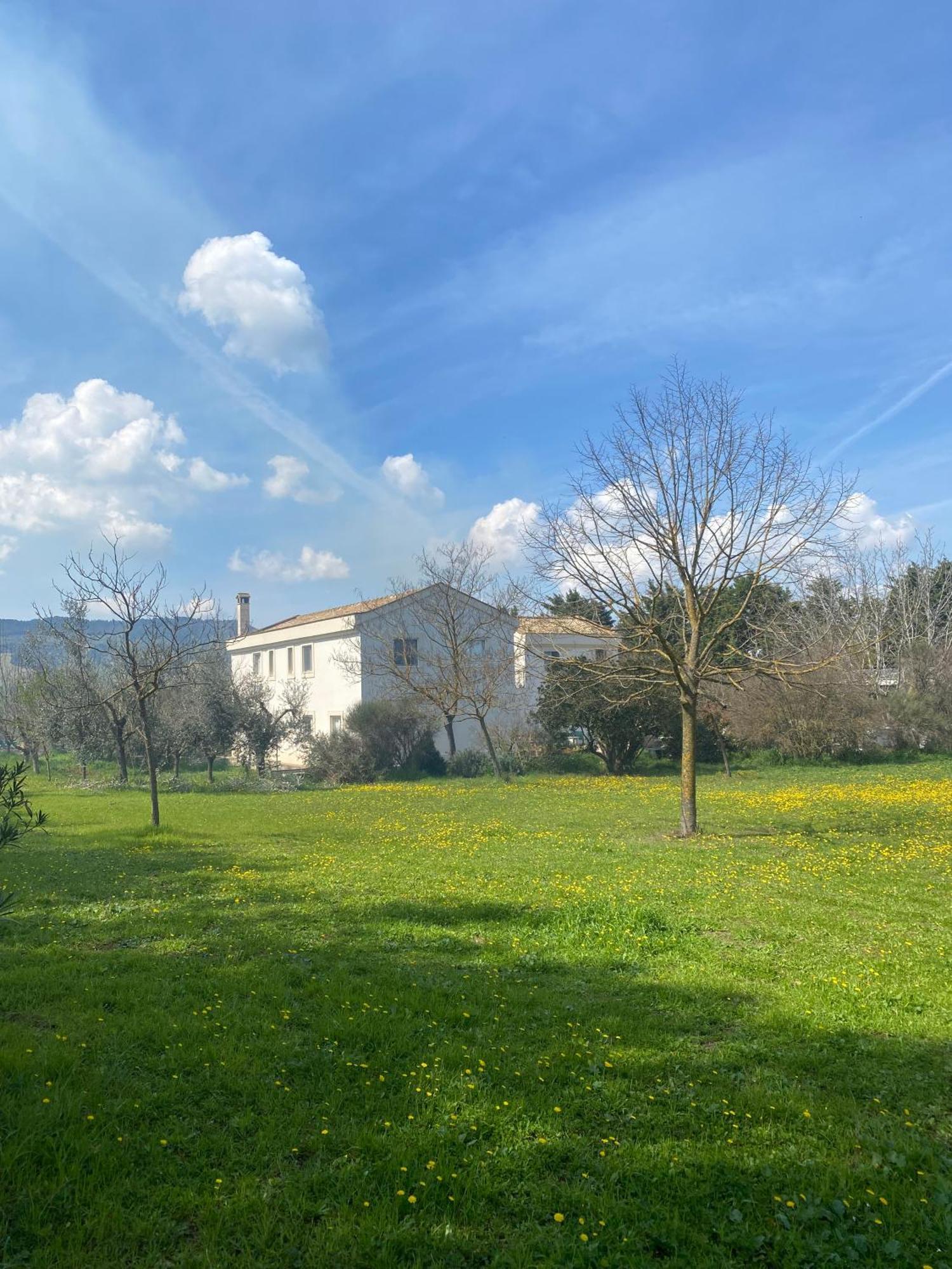 Agriturismo Colle Igino Матера Экстерьер фото