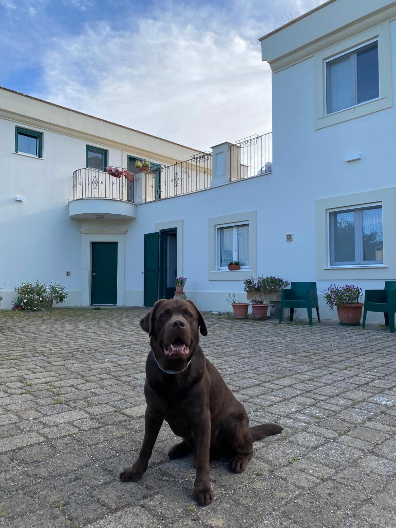 Agriturismo Colle Igino Матера Экстерьер фото